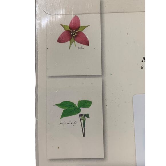 Set of 8 Notecards and Envelopes Wildflower Assortment II New - Picture 5 of 7
